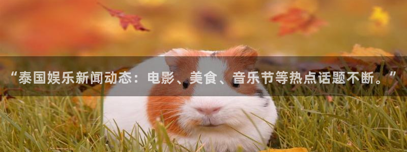 “泰国娱乐新闻动态：电影、美食、音乐节等