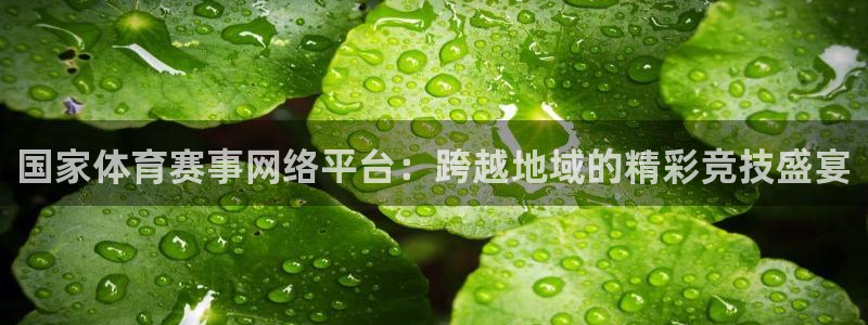 国家体育赛事网络平台：跨越地域的精彩竞技